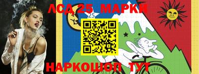 гидропоника Новокубанск