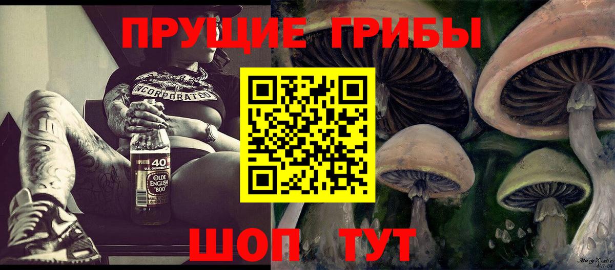 Галлюциногенные грибы прущие грибы  Галлюциногенные грибы Psilocybine cubensis  Вход с VPN  Улан-Удэ 